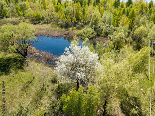 Lake in the forest in spring. Aerial drone view.