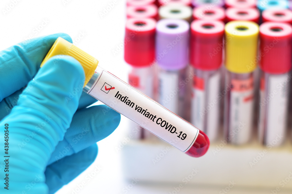 Obraz premium Indian variant COVID-19, blood sample tube positive with Indian strain COVID-19 virus 