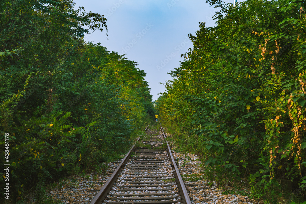 railway in the forest railway in the forest