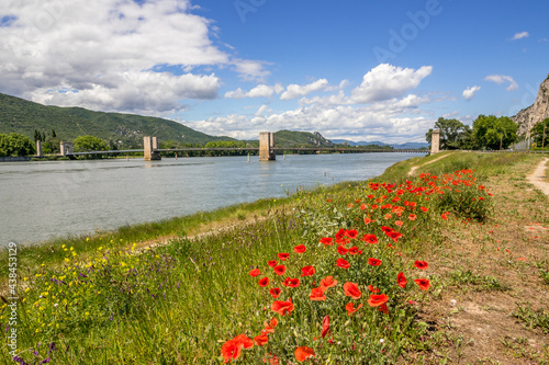 The Robinet bridge on the Rhone at Donzere with a bed of poppies in the foreground photo