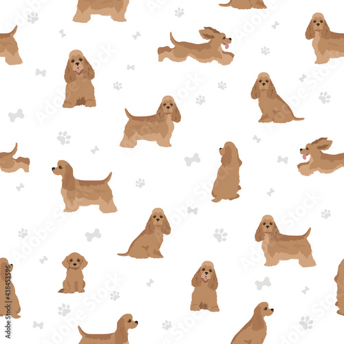 American cocker spaniel all colours clipart. Different coat colors set.