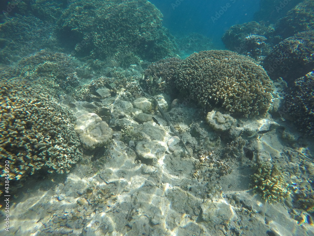 Tahaa, Polynesia