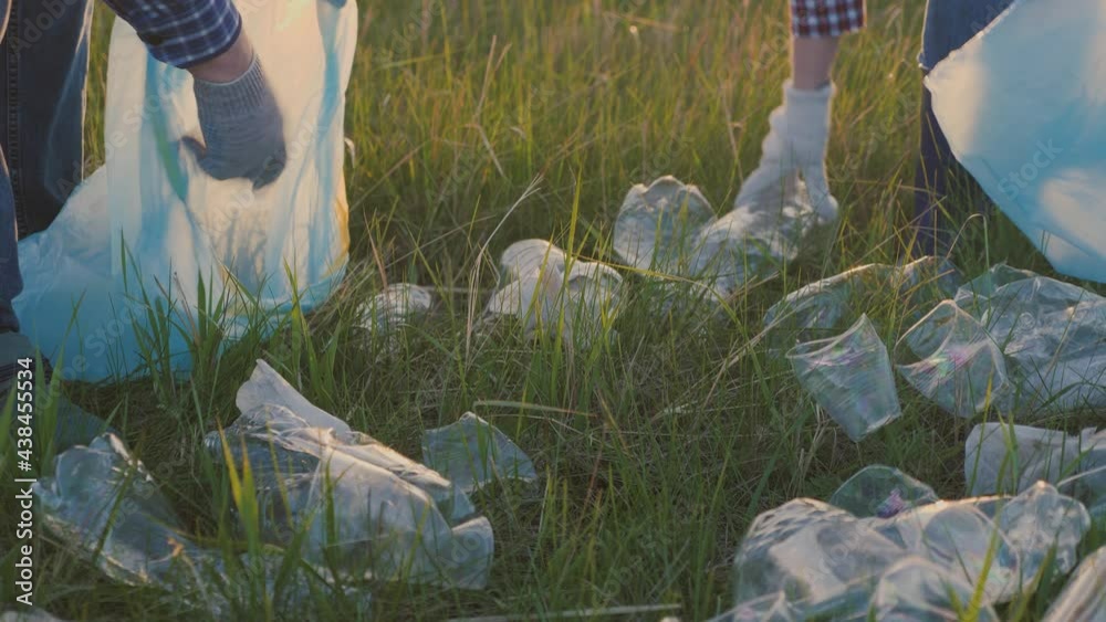 Volunteer team of people collect garbage plastic in garbage bags