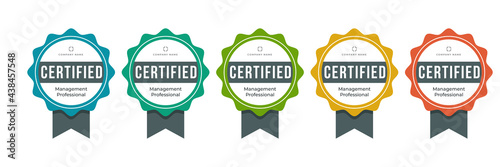 Certified badge professional profession. Certification base on criteria logo. Vector icon certify template.