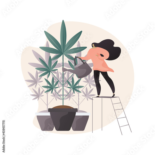 Cannabis cultivation abstract concept vector illustration.