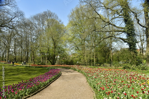 Allée entre les parterres de tulipes par milliers ,pelouses au bois du domaine du château de Grand Bigard à l'ouest de Bruxelles