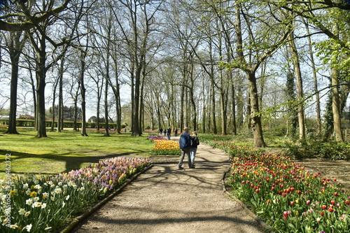 Chemin entre les parterres de tulipes dans le bois au domaine du château de Grand Bigard à l'ouest de Bruxelles