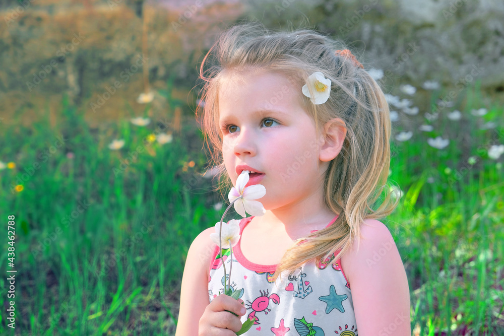 Little girl picking summer flowers in a field. Happy child enjoying nature outdoors Little girl picking summer flowers in a field. Happy child enjoying nature outdoors