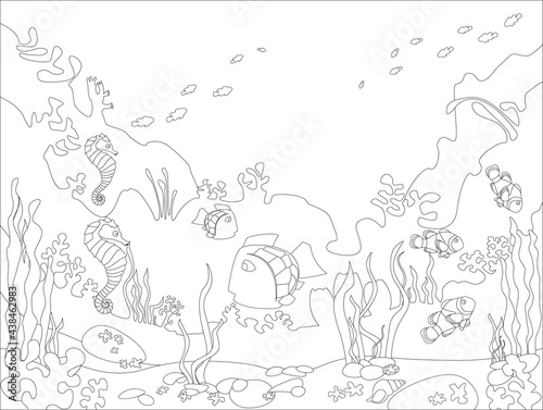 Coloring book for children. Marine animals and plants, colored cartoon with marine life. The task for children can be used in a book, magazine