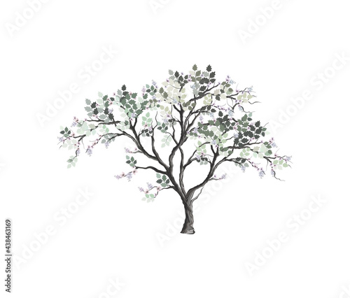 beautiful and elegant tree hand drawn  blossom flowers