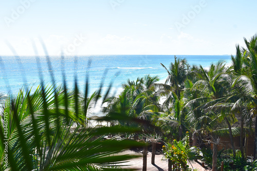 resting place on a tropical beach. picturesque exotic landscape. palm trees on the seashore