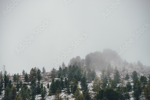 Scenic mountain landscape with sharp rocks on snowy hill with coniferous trees. Rocky pointy peak with trees on mountain top with forest in snow. Green spruces and yellow larches in autumn in snowfall