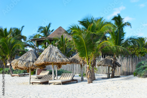 Tropical sea scenic landscape. Tourist holiday destination with palm trees and the sea. Beautiful Seashore with trees.