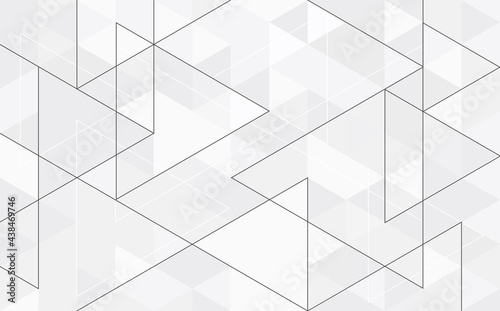 Abstract geometry triangle white and gray pattern background.vector illustration.
