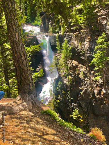 waterfall in the forest