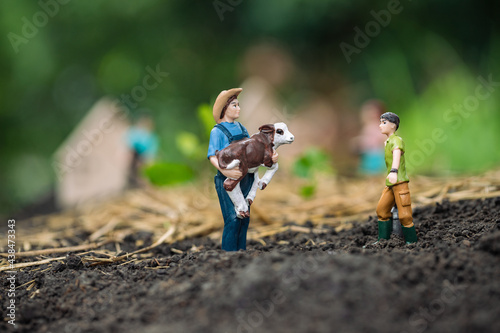 Farmer's agricultural holding cow in local farm near the garden. Simple living and farming for rural households. Miniature macro and blur