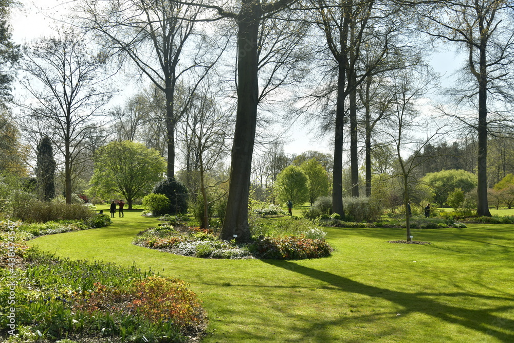 Aménagement paysagère de variété de plantes et d'arbres à l'arboretum de Wespelaar 