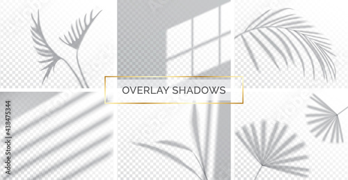 Set of shadows, overlay effects mock up, window frame and leaf of plants, natural light, vector illustration.
