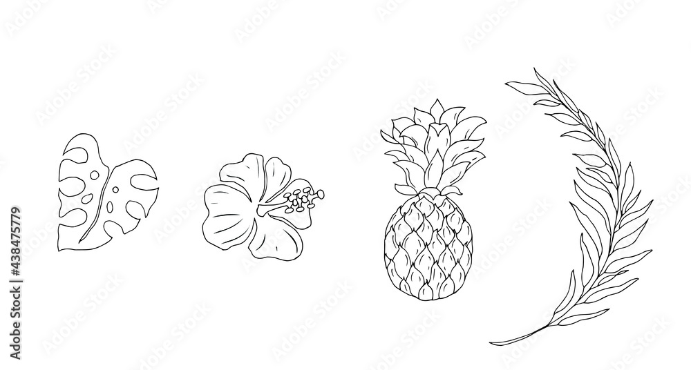 Fototapeta premium Palm leaf, pineapple, hibiscus flower, monstera leaf. Tropical plants, vector linear drawing.