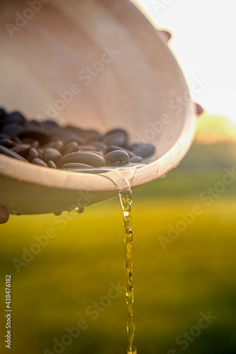 water dribbles out of a wooden bowl with black stones in an open field during golden hour. the tips of fingers can barely be seen. yellow tones dominate