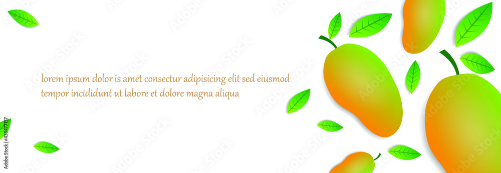 white background template with yellow green mango fruit design and green leaves. promotional design in the form of banners, greeting cards and graphic design purposes. white background template with yellow green mango fruit design and green leaves. promotional design in the form of banners, greeting cards and graphic design purposes.