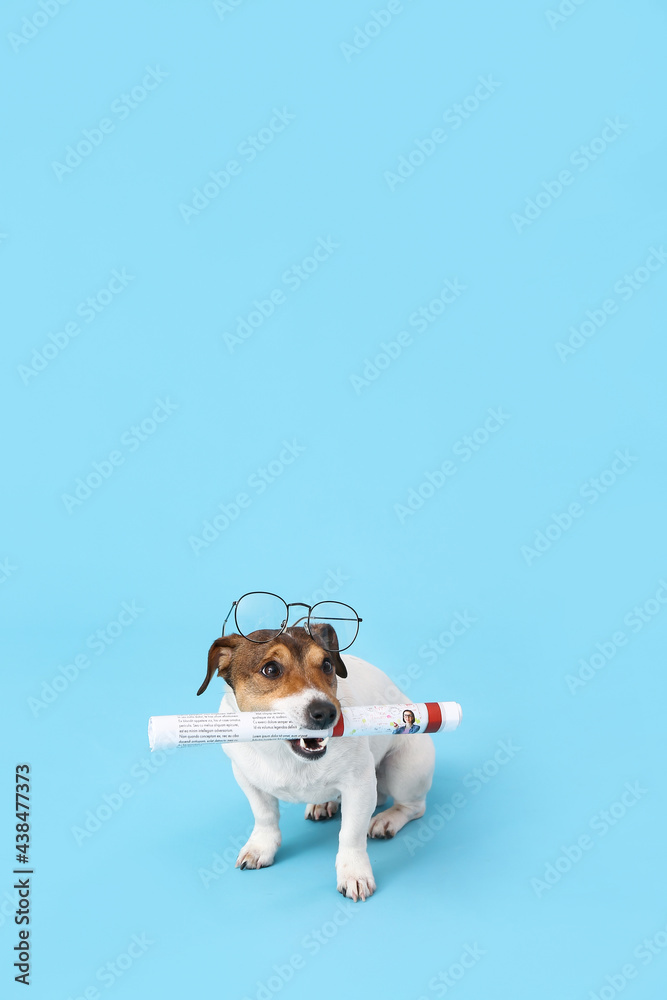 Cute dog with newspaper and glasses on color background