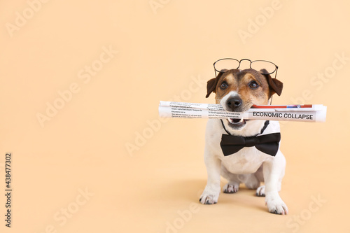 Cute dog with newspaper and...