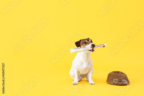 Cute dog with newspaper and...