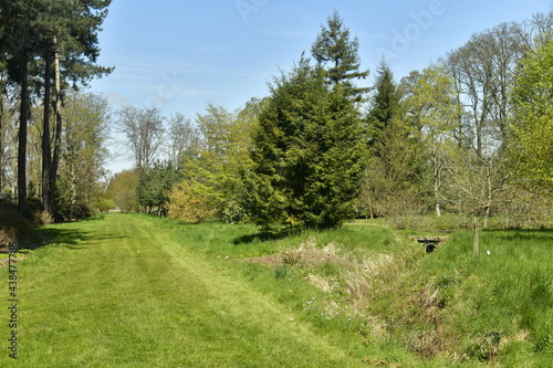 Chemin en gazon entre les différents feuillus et conifères rares à l'arboretum de Wespelaar en Brabant Flamand 