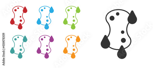 Black Sponge icon isolated on white background. Wisp of bast for washing dishes. Cleaning service logo. Set icons colorful. Vector