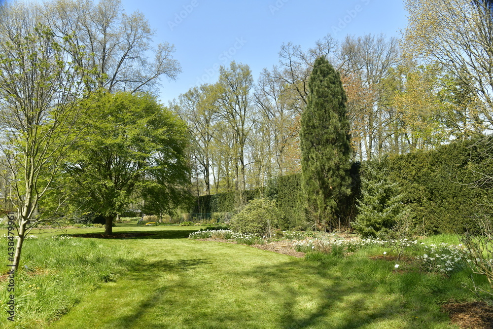 Aménagement paysagère de variété de plantes et d'arbres à l'arboretum de Wespelaar 