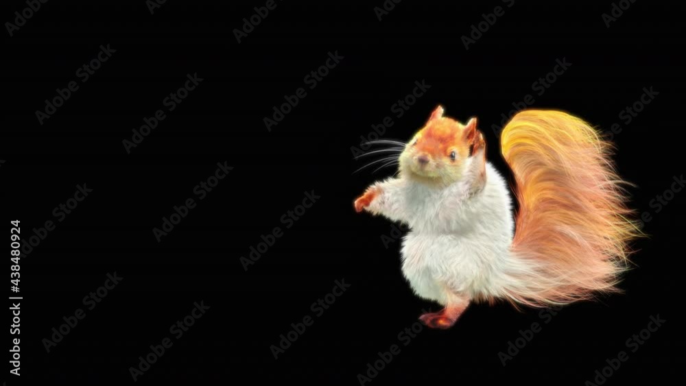 White squirrel Dance CG fur. 3d rendering, animal realistic CGI VFX