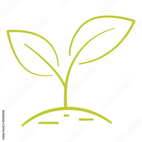 Growing plant. Two green leaves. Environmental protection concept, Eco natural farm concept, organic food, vegan products. Ecology, nature element usage in health treatment or aromatherapy