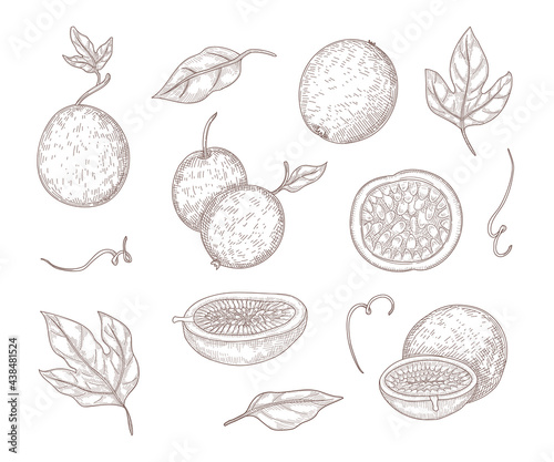 Fresh passionfruit engraved illustrations set. Hand drawn vintage sketch of whole passion fruits and halves, leaves isolated on white background. Food, exotic or tropical fruit, summer concept