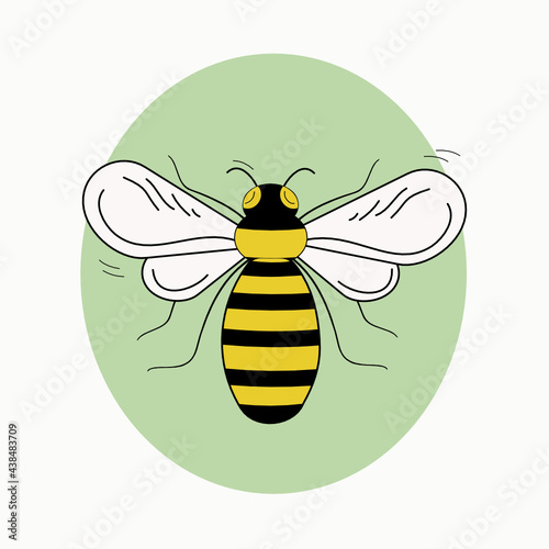 Bee insect in doodle style. The drawing is black ,  yellow and white in a green circle. Vector graphics. Isolated background.