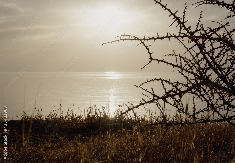 Morning sunrise at the Bay and Coast at Cape Greco National Park near Ayia Napa, Cyprus. The sun through the silhouettes of thorns and grass Morning sunrise at the Bay and Coast at Cape Greco National Park near Ayia Napa, Cyprus. The sun through the silhouettes of thorns and grass