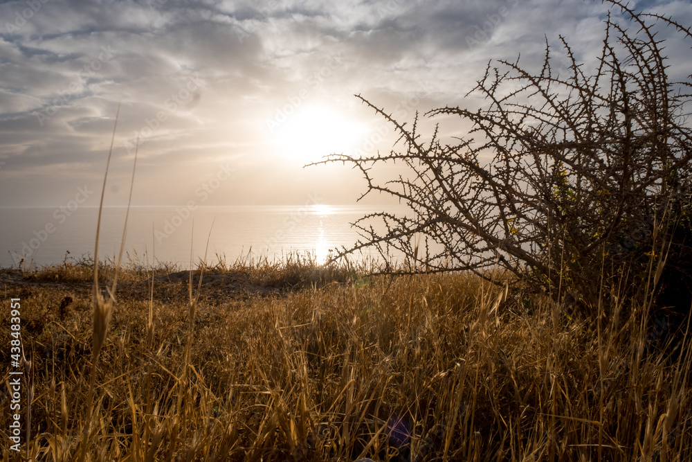 Morning sunrise at the Bay and Coast at Cape Greco National Park near Ayia Napa, Cyprus. The sun through the silhouettes of thorns and grass