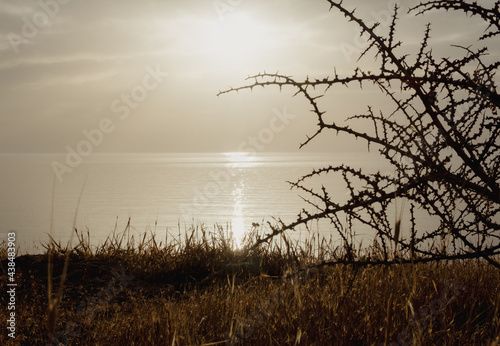 Morning sunrise at the Bay and Coast at Cape Greco National Park near Ayia Napa, Cyprus. The sun through the silhouettes of thorns and grass