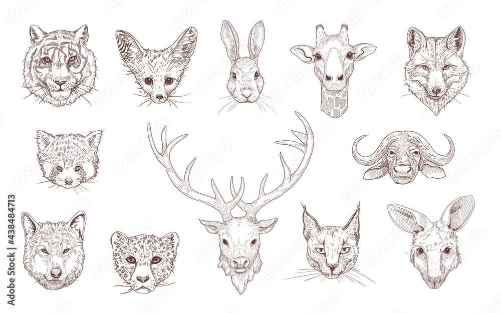 Portraits of different wild animals engraved illustrations set. Hand drawn sketch of heads of red panda, giraffe, fox, tiger, deer isolated on white background. Wildlife, nature, animals concept