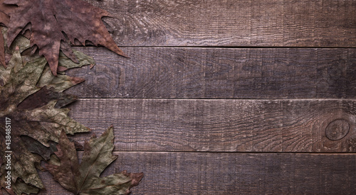 leaves on wooden background