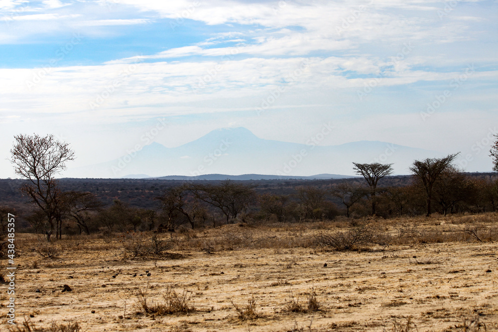 Fototapeta premium Ilpartimaro in der Trockenzeit