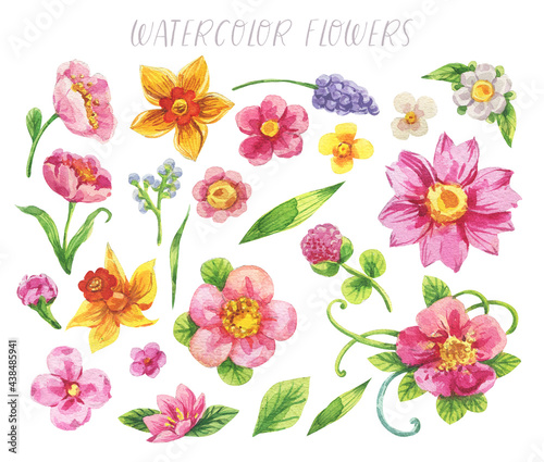 Fototapeta Naklejka Na Ścianę i Meble -  Set of a watercolor collection of flower illustrations and elements on a white background. Hand drawing botanical illustration in cartoon style.