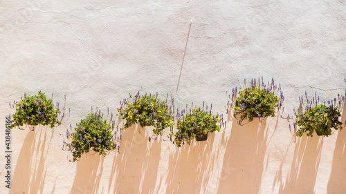 5 macetas con plantas colgadas en una típica fachada de Andalucia