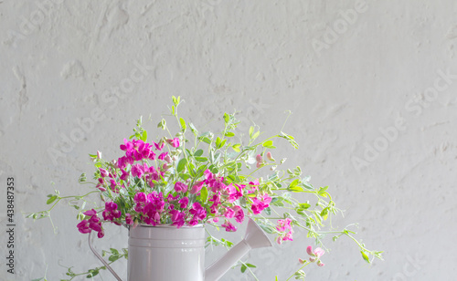 pink summer flowers in watering can on background white wall