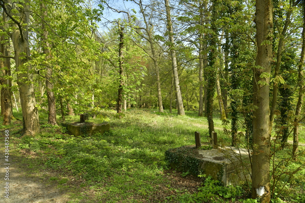 Obraz premium Socles en béton d'un ancien pylône de haute-tension à l'arboretum de Groenendael au sud-est de Bruxelles