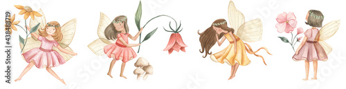   Fairy and Flowers watercolor illustration for girls 