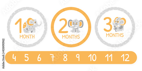 Month Card with Cute Elephant Character with Trunk and Tusks Vector Template