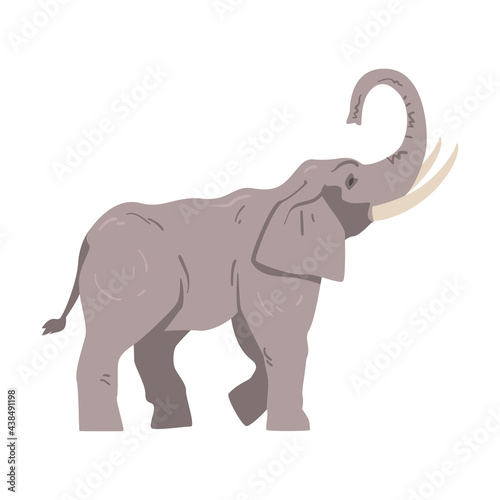 Standing Elephant as Large African Animal with Trunk, Tusks, Ear Flaps and Massive Legs Side View Vector Illustration