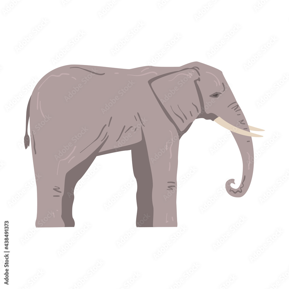 Obraz premium Standing Elephant as Large African Animal with Trunk, Tusks, Ear Flaps and Massive Legs Side View Vector Illustration