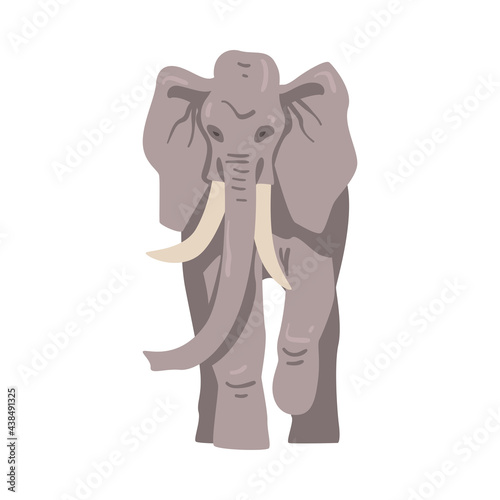 Fototapeta Naklejka Na Ścianę i Meble -  Walking Elephant as Large African Animal with Trunk, Tusks, Ear Flaps and Massive Legs Vector Illustration
